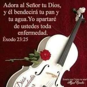 Meet your Posher, Haydee